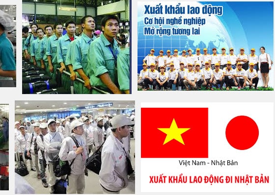 ​Xuất khẩu lao động Úc 2019 – con đường LỚN nhưng cánh cổng HẸP cho lao động Việt?