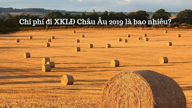 Xuất khẩu lao động Châu Âu 2019 – có phải lựa chọn THÔNG MINH cho lao động Việt?