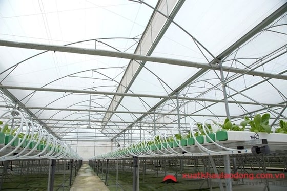 Đi XKLĐ Nhật Bản tại tỉnh Kumamoto nên chọn đơn hàng gì LƯƠNG CAO?