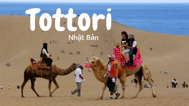 Tỉnh Tottori - vùng đất vàng thu hút lao động Việt