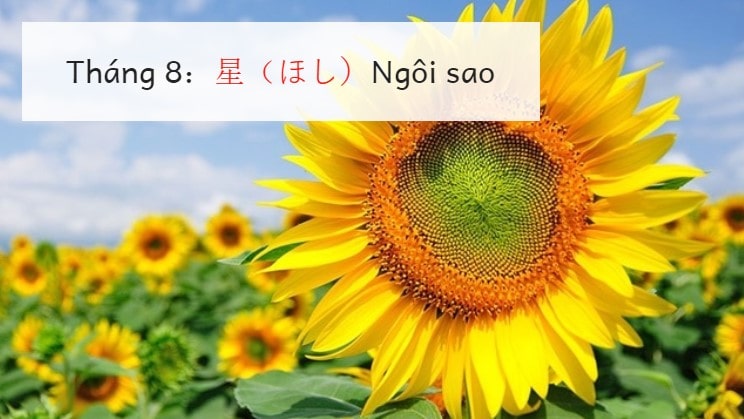 https://xuatkhaulaodong.com.vn/TIẾT LỘ ý nghĩa tháng sinh của bạn theo cách của người Nhật