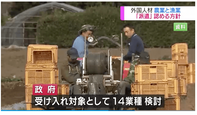 Nhật Bản áp dụng hình thức PHÁI CỬ đối với lao động nước ngoài trong ngành nông, thủy sản