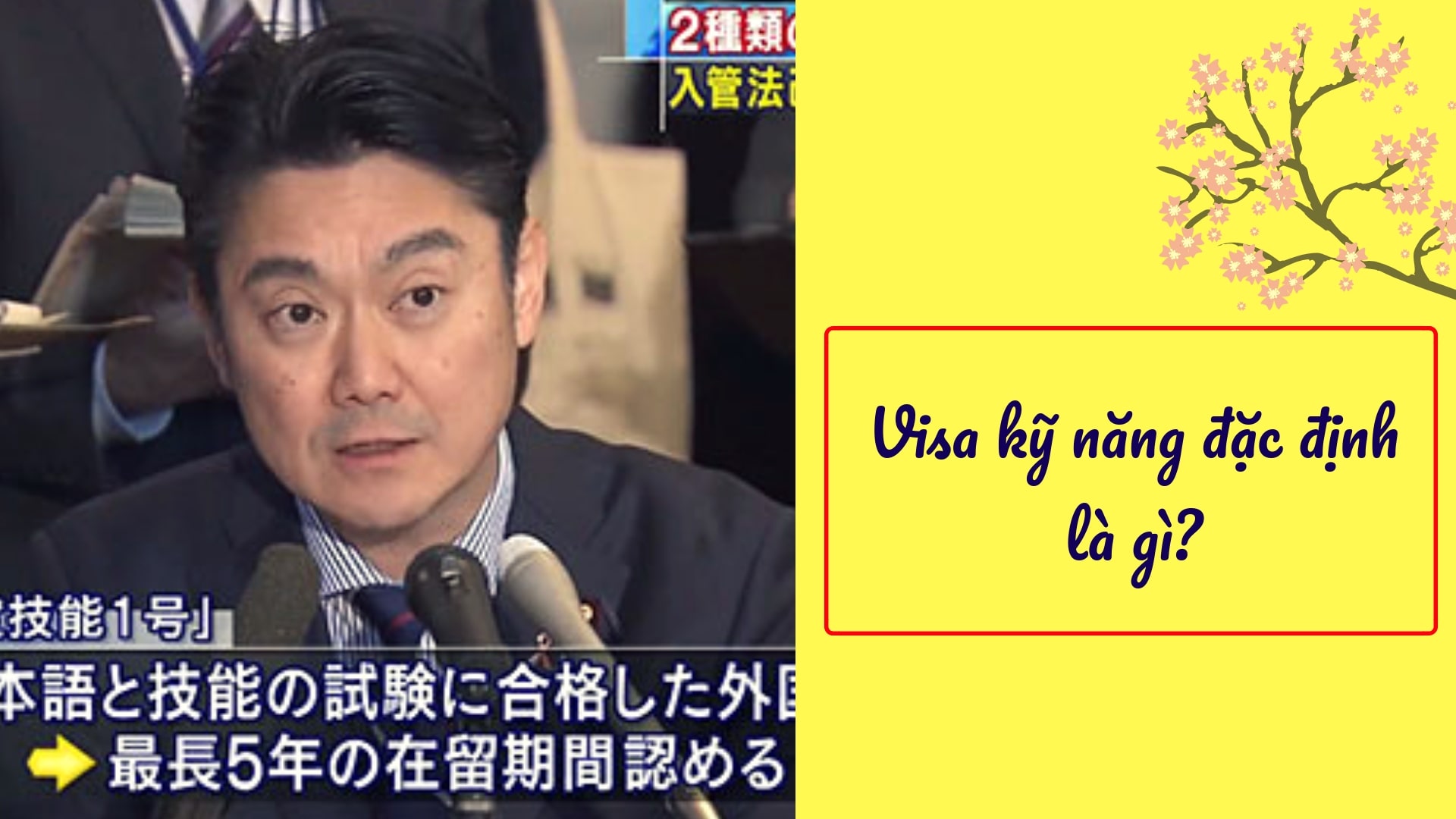 Visa đặc định là gì? 10 vấn đề quan trọng phải biết về visa Tokutei ginou Nhật Bản!