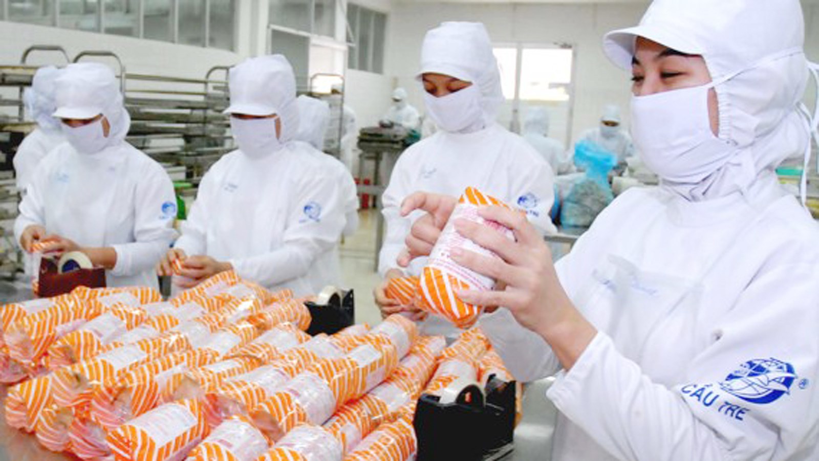 Đơn hàng đóng gói là gì? Chọn đơn đóng gói đi Nhật CÓ TỐT KHÔNG?