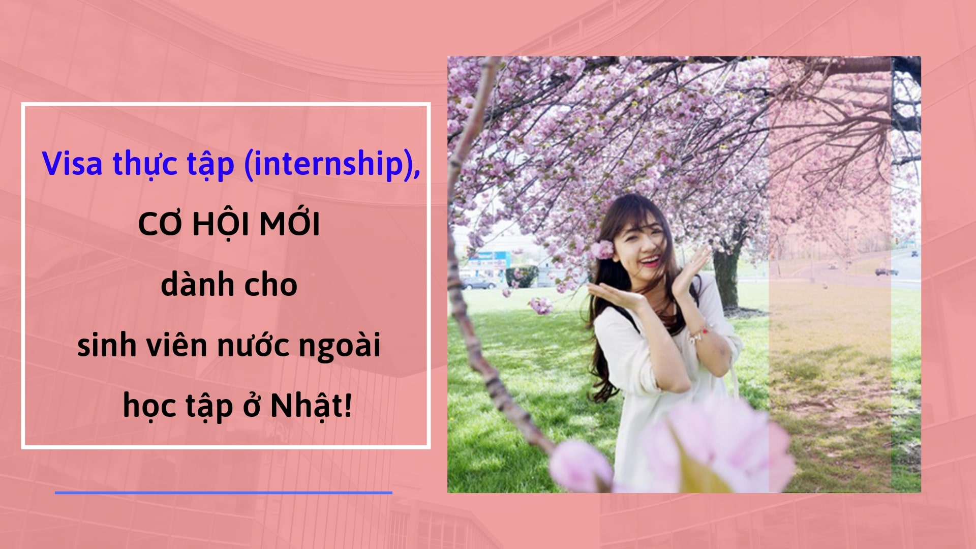 Visa thực tập(internship) – CƠ HỘI MỚI dành cho sinh viên nước ngoài được học tập ở Nhật!