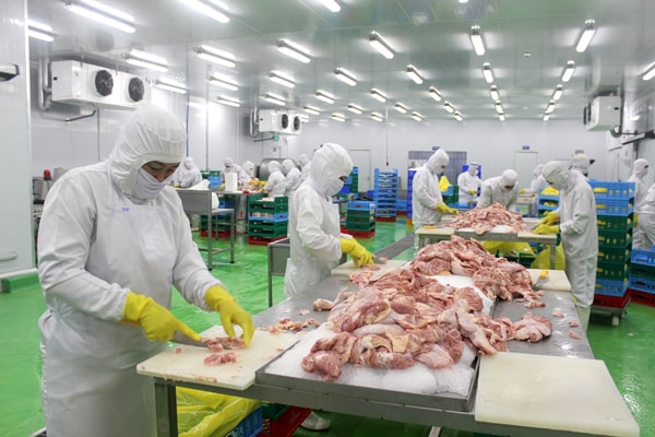 Có nên đi XKLĐ Nhật Bản đơn hàng chế biến thịt gà không?