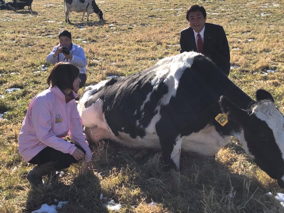 đơn hàng 15 nam sản xuất bìa cĐơn hàng chăn nuôi bò sữa tại Hokkaido sữa LƯƠNG SIÊU CAO, tuyển gấp 05/2022át tông lương 165,440 yên/tháng tại Hyogo