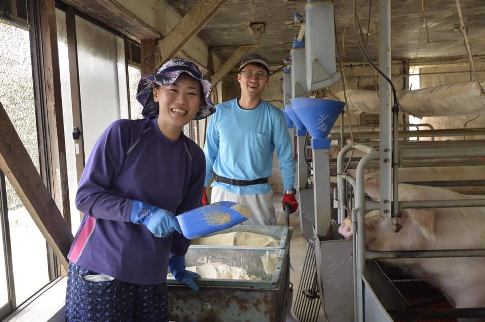 đơn hàng chăn nuôi lợn tại Tochigi, Nhật Bản