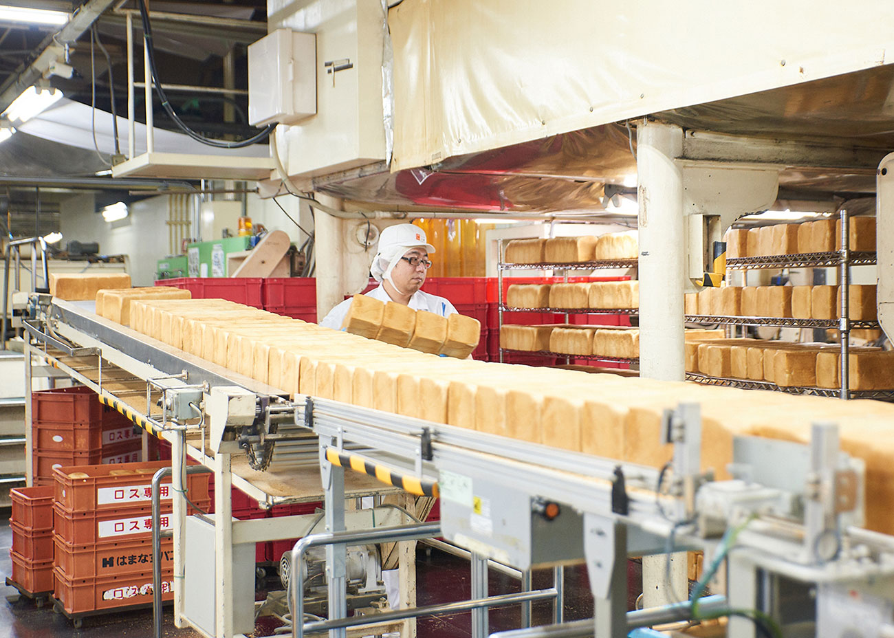 20 nam/nữ làm bánh mỳ tại Toyama, Nhật Bản
