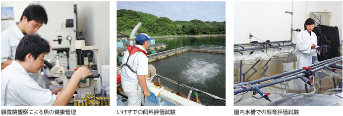 5 điều cần biết về đơn hàng kỹ sư nuôi trồng thủy sản đi Nhật