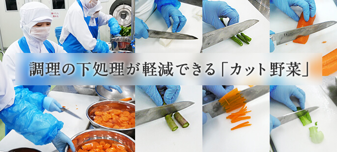 đơn hàng chế biến rau của quả tại Kanagawa, Nhật Bản