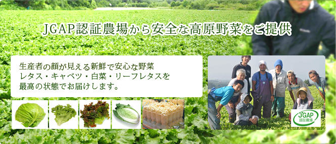 Đơn hàng thu hoạch rau lương cao tại Nagano