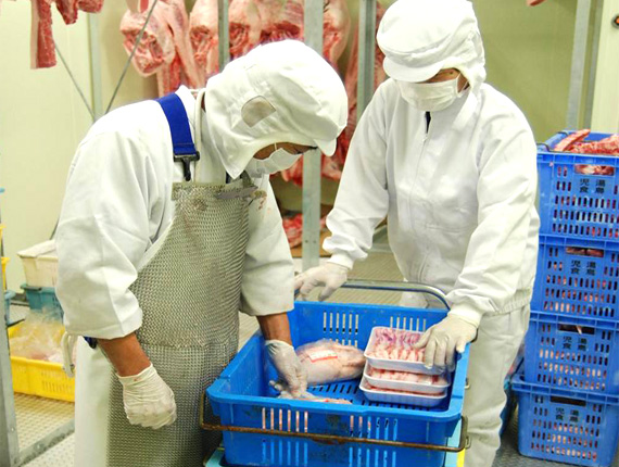 Đơn hàng chế biến và đóng gói thịt tại Chiba