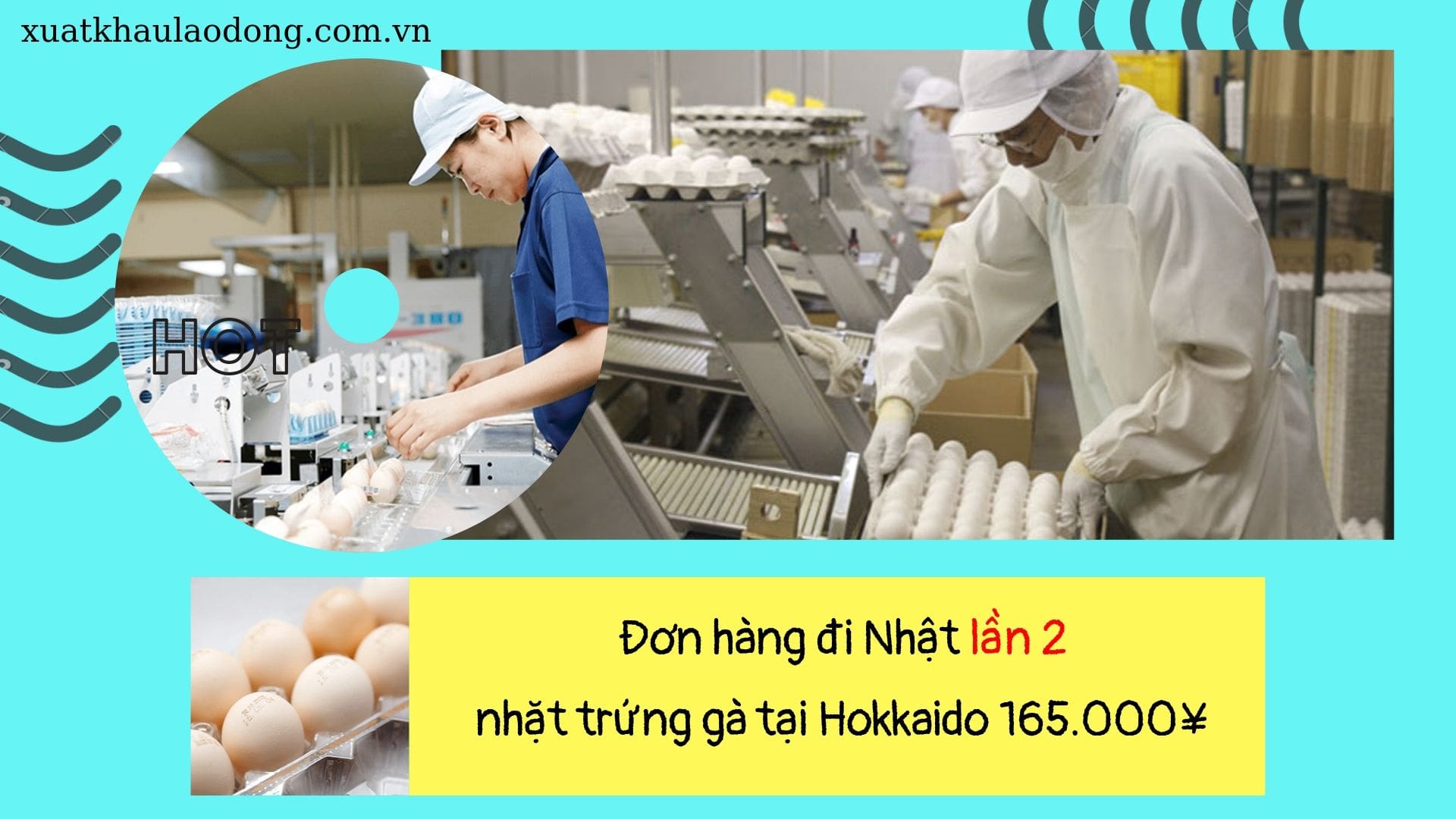 Đơn hàng nhặt trứng gà vào dây chuyền lần 2 lương khủng tại Hokkaido, Nhật Bản