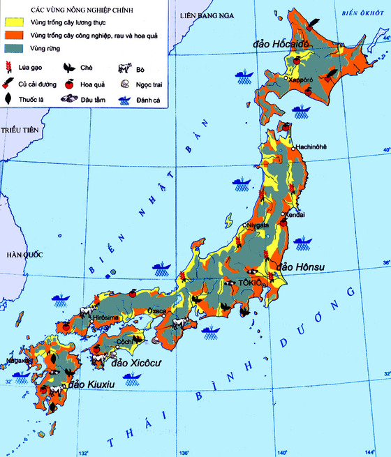 Với sự phát triển không ngừng của kinh tế và công nghệ, vị trí của Nhật Bản trong bản đồ thế giới càng trở nên quan trọng hơn bao giờ hết. Hãy xem hình ảnh liên quan để khiêm tốn tìm hiểu về đất nước sở hữu nền kinh tế vượt trội và văn hóa đa dạng của Nhật Bản.