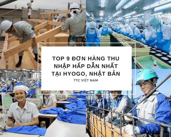 Top 9 đơn hàng thu nhập HẤP DẪN nhất tại Hyogo, Nhật Bản