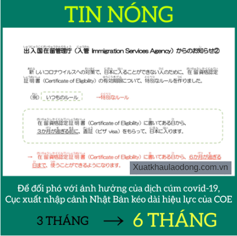Thời hạn của COE kéo dài từ 3 tháng lên 6 tháng