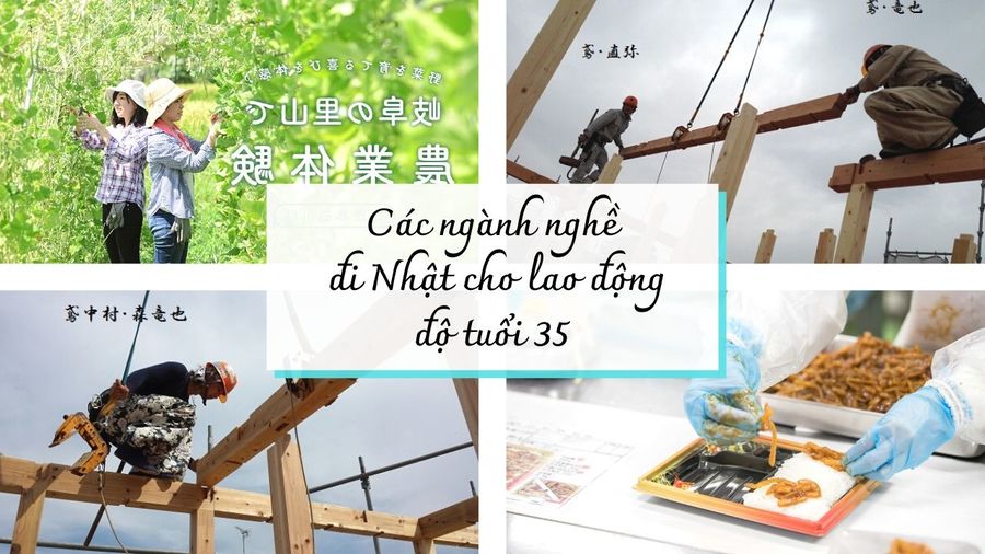 35 tuổi có đi XKLĐ Nhật Bản được không