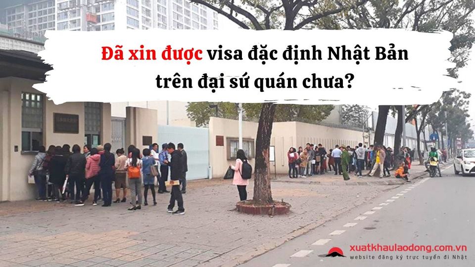 Đã xin được visa đặc định 2023 trên Đại sứ quán Nhật ở Việt Nam chưa?
