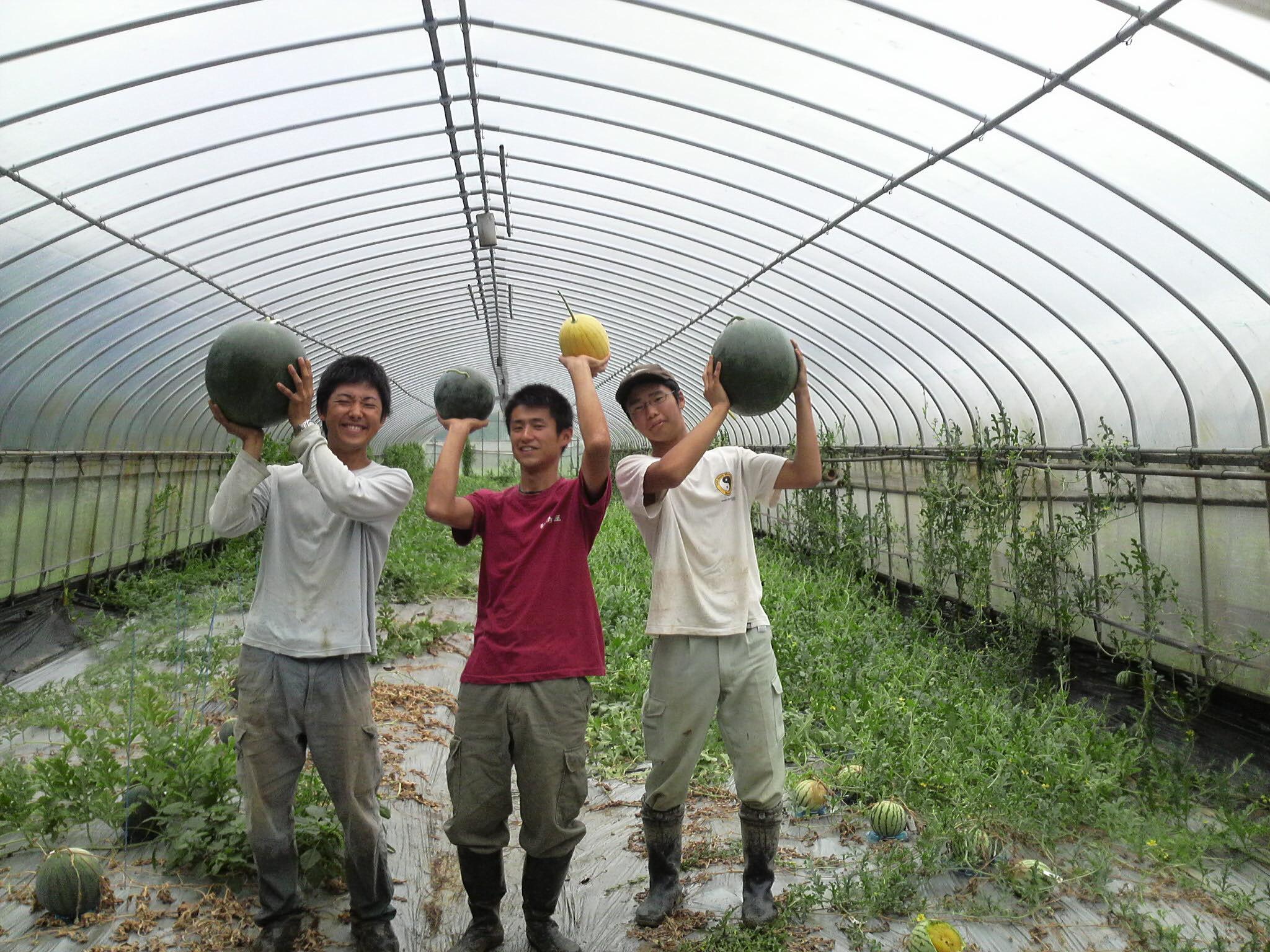 6 Nam làm nông nghiệp tại Shizuoka - Ken tháng 1/2014
